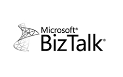 Logo BizTalk