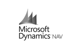 Logo Microsoft Navision